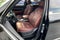 2023 Kia Telluride SX Prestige