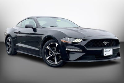 2019 Ford Mustang Eco