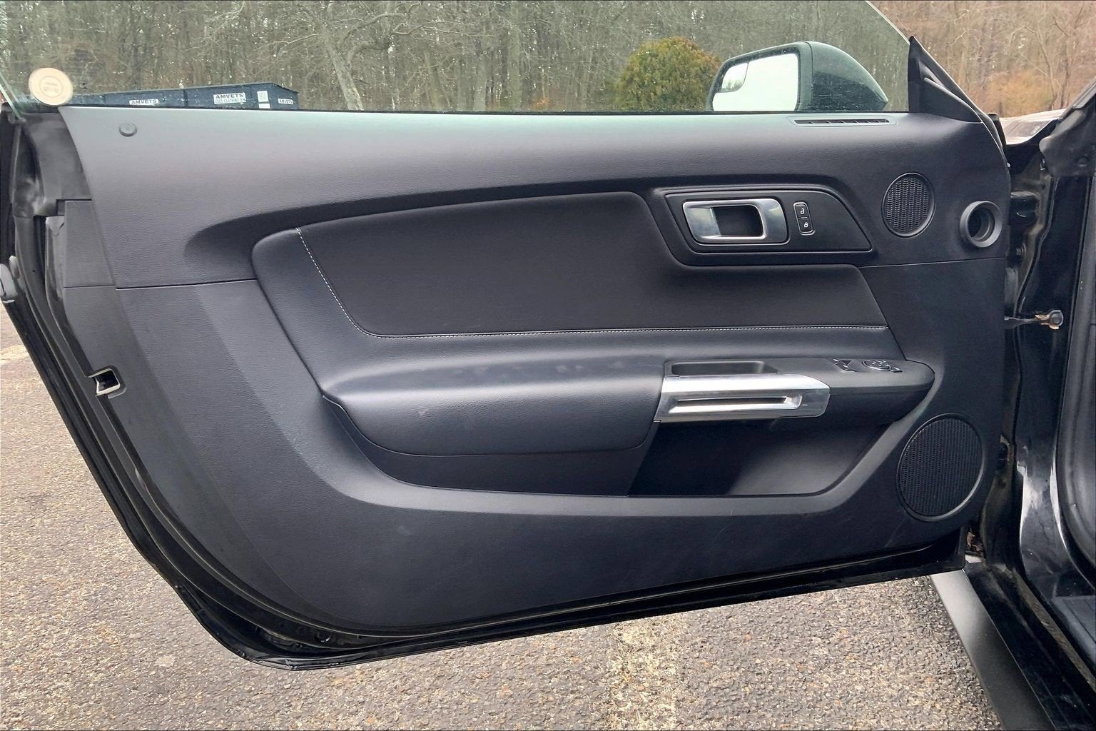 2019 Ford Mustang Eco