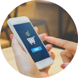 Online Payment and receipt